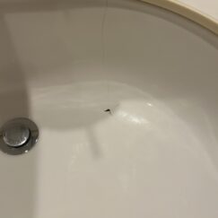 洗面台補修工事 施工前